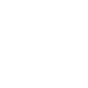 300x300_features3