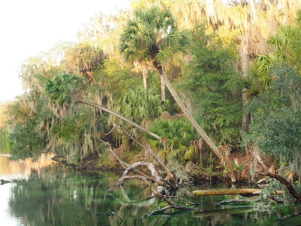 Florida springs prove to be one of the best weekend destinations Florida springs prove to be one of the best weekend destinations
