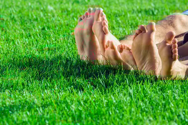 AdobeStock_78595842.jpeg AdobeStock_78595842.jpeg