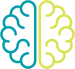 Brain