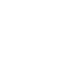 Secure processing icon