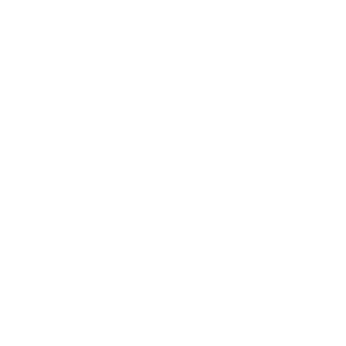SAVING_WHITE_PersonalBanking_Icons-04