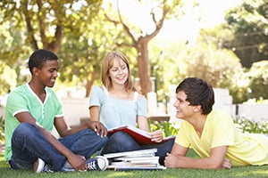 group of college students studying outside